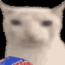 Котик ест
